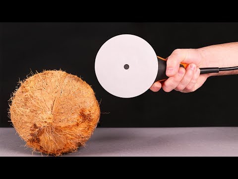 WHAT CAN YOU CUT WITH PAPER?