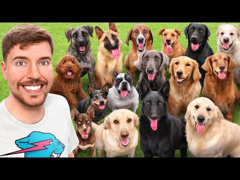 I Adopted EVERY Dog In A Dog Shelter